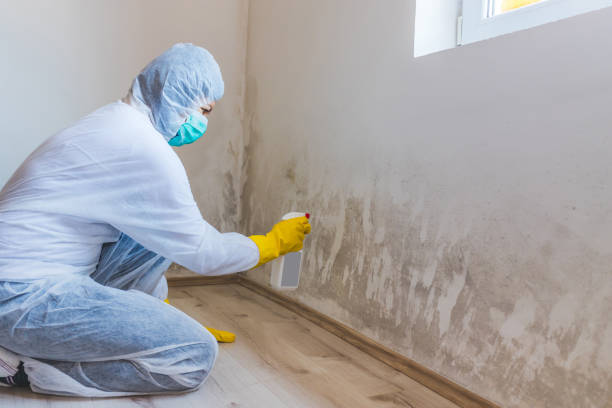 Licensed Crawl Space Mold Removal service in Baroda, MI - WQB Mold Removal