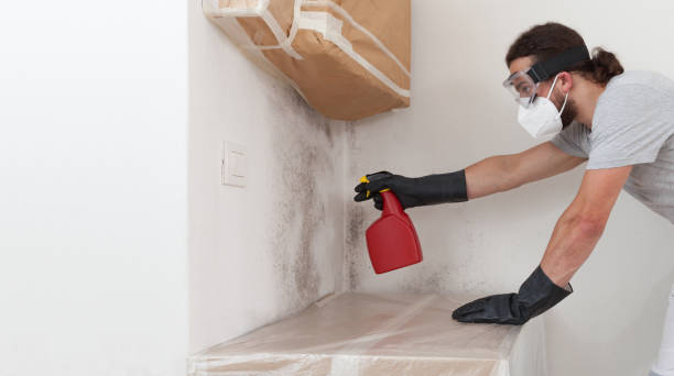 Professional Crawl Space Mold Removal technician working in Baroda, MI