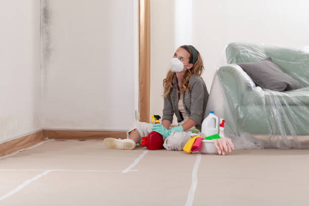 Reliable Crawl Space Mold Removal contractor in Baroda, MI by WQB Mold Removal