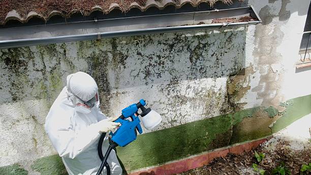 Top rated local Crawl Space Mold Removal specialists in Baroda, MI
